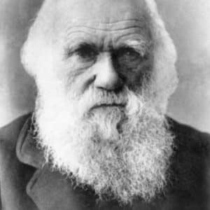 Darwin's portrait