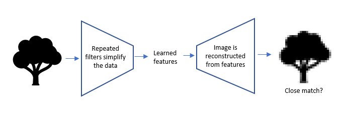 Hierarchy of features